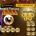 foto angka tarung togel 12 agustus 2025 carolina day